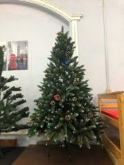 Cây Thông Đầu Nhọn Phun Sơn Gắn Trái Thông