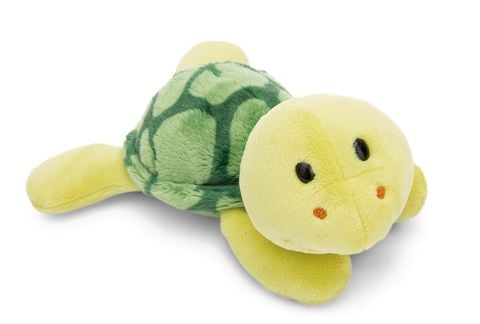 NICI Marine animals | Sinh vật biển