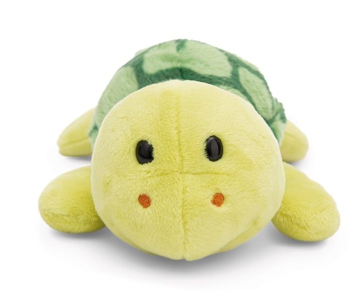  Thú nhồi bông 20cm 49817 |turtle rùa biển con|NICI Germany 