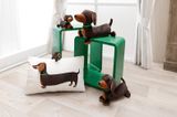  Thú nhồi bông 35cm-61898|chó lạp xưởng Dachshund Dog _NICI Germany 