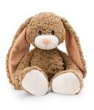  Thỏ tai dài Bunny Lopino 