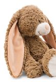  Thỏ tai dài Bunny Lopino 