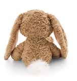  Thỏ tai dài Bunny Lopino 