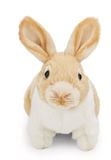  Thú nhồi bông 20cm-62601| thỏ rabbit NICI Lifelike_NICI Germany 