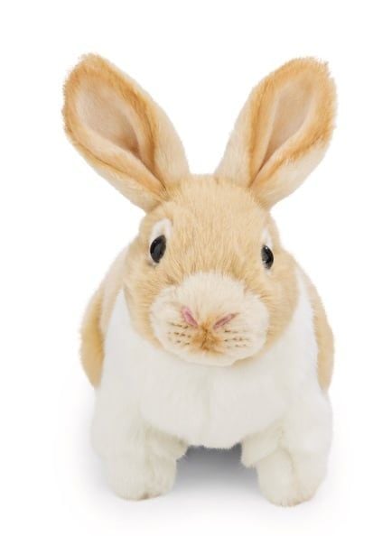  Thú nhồi bông 20cm-62601| thỏ rabbit NICI Lifelike_NICI Germany 
