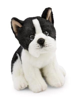  Thú nhồi bông 20cm-62602|chó dog Bosten Terrier NICI Lifelike_NICI Germany 