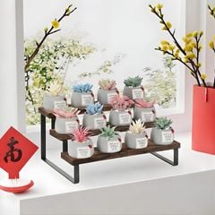 Kệ décor mô hình gỗ cháy - GM214