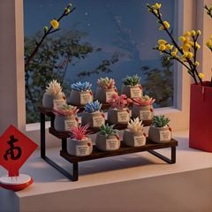Kệ décor mô hình gỗ cháy - GM214