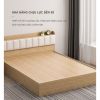 Giường Ngủ Gỗ Công Nghiệp Hiện Đại Mang Phong Cách Bắc Âu - GP240