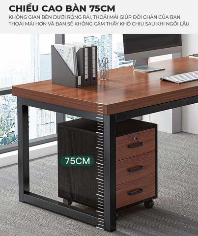 [Combo] B.L.V Kết Hợp Tủ Hồ Sơ Nhỏ Khung Đen Gỗ Óc Chó - GM191 - Khai tử