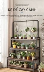 KỆ CÂY 3-4 TẦNG GỖ 15 LY ÓC CHÓ MÀU ĐEN - GM124 - Nội Thất IGA Việt Nam