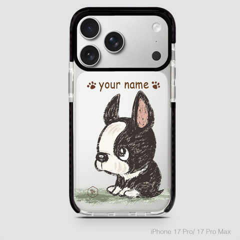 PETS - BOSTON TERRIER