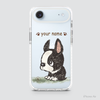PETS - BOSTON TERRIER
