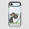 PETS - BLACK RABBIT