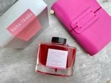  Mực bút máy Pilot Iroshizuku 