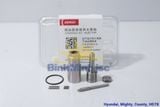 Bộ Kit Sửa Chữa Kim Denso Hyundai Mighty, County, HD78