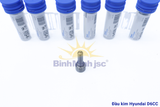 Đầu Kim Delphi Hyundai D6CC