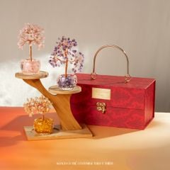 Set Quà Cầy Tài Lộc - Phong Thủy