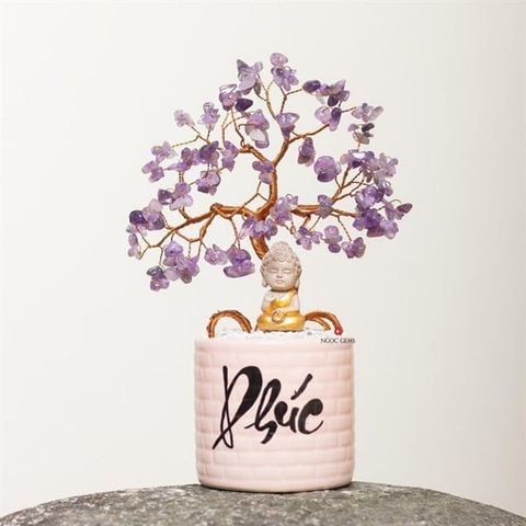 Cây Tài Lộc TA Tím - size nhỏ - thân đồng