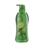 Dầu Gội Mistine Magrood Plus Borapet Shampoo 400ml