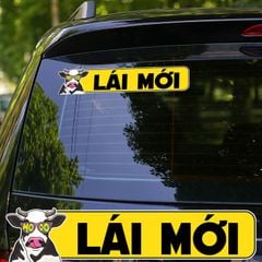 LÁI MỚI – COOL COW