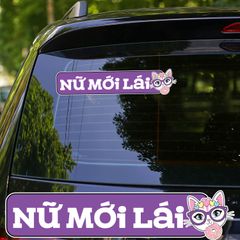 NỮ MỚI LÁI - DONUT CAT TÍM