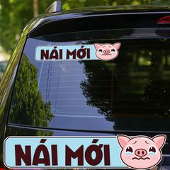 NÁI MỚI – SCARED PIG
