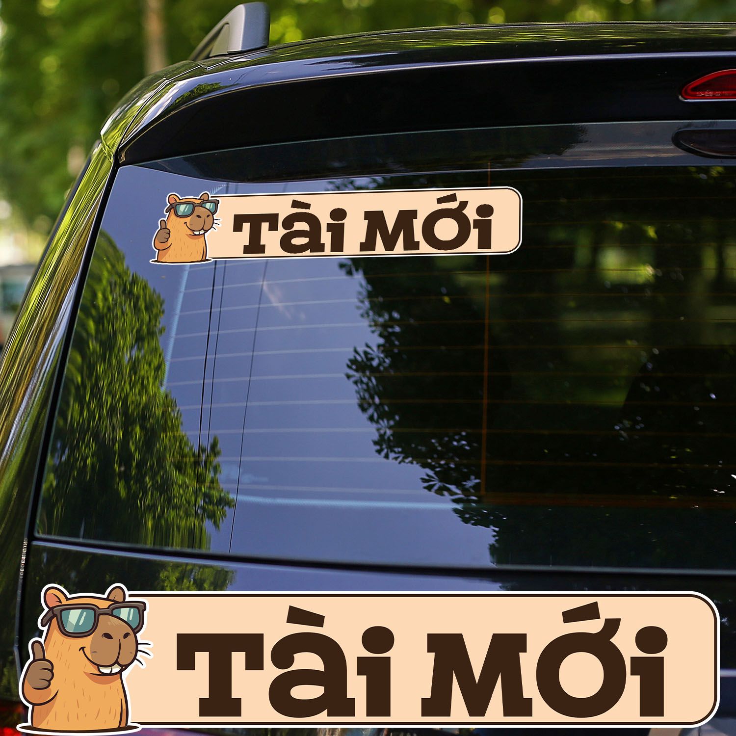 LÁI MỚI 7x33cm - Sticker for car