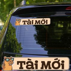 TÀI MỚI – COOL CAPYBARA