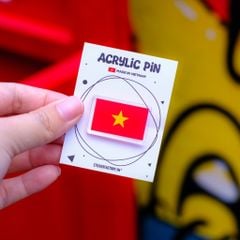 ACLPIN001 - Vietnam Flag