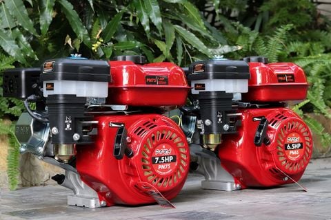 Động cơ nổ Pona PN65 6.5HP