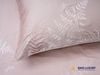 Bộ chăn ga Nature Home Standard Tencel Cotton Dương Xỉ Hồng