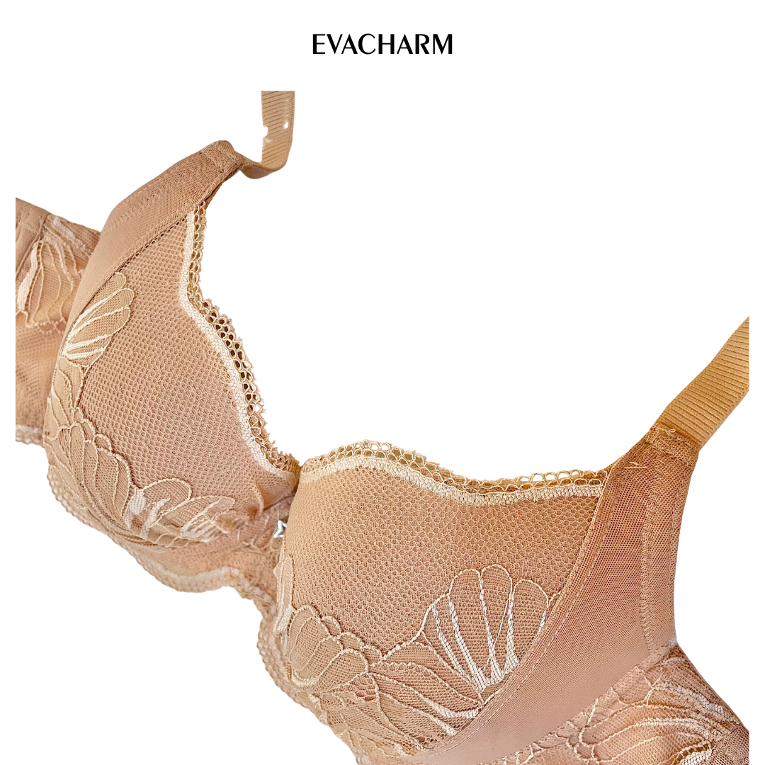  Áo ngực ren 3 móc Zagu đệm mỏng 