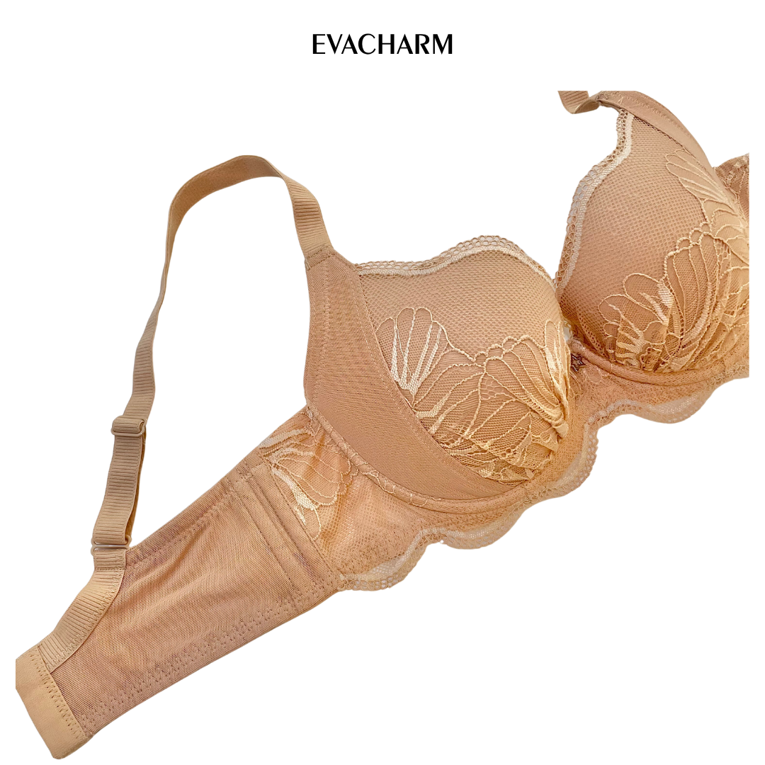  Áo ngực ren 3 móc Zagu đệm mỏng 