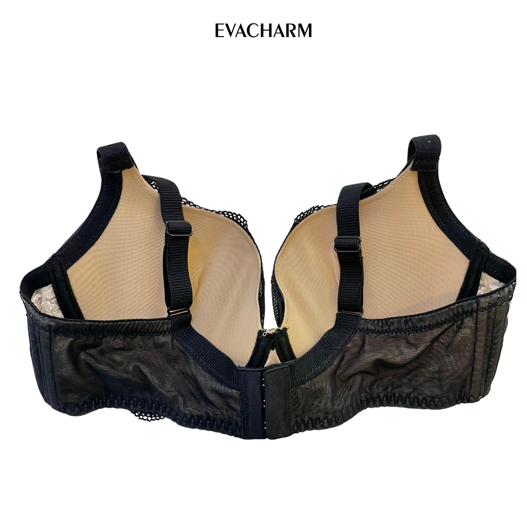  Áo ngực ren 3 móc Zagu đệm mỏng 