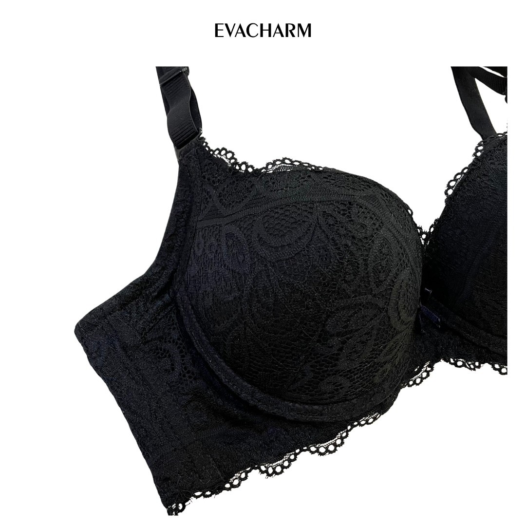  Áo ngực ren 3 móc Zagu đệm 3 phân 