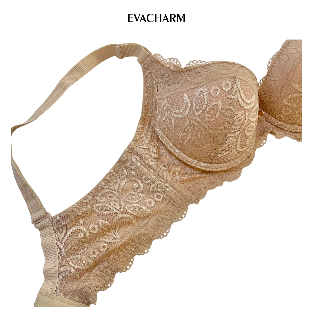  Áo ngực ren 3 móc Zagu đệm 3 phân 