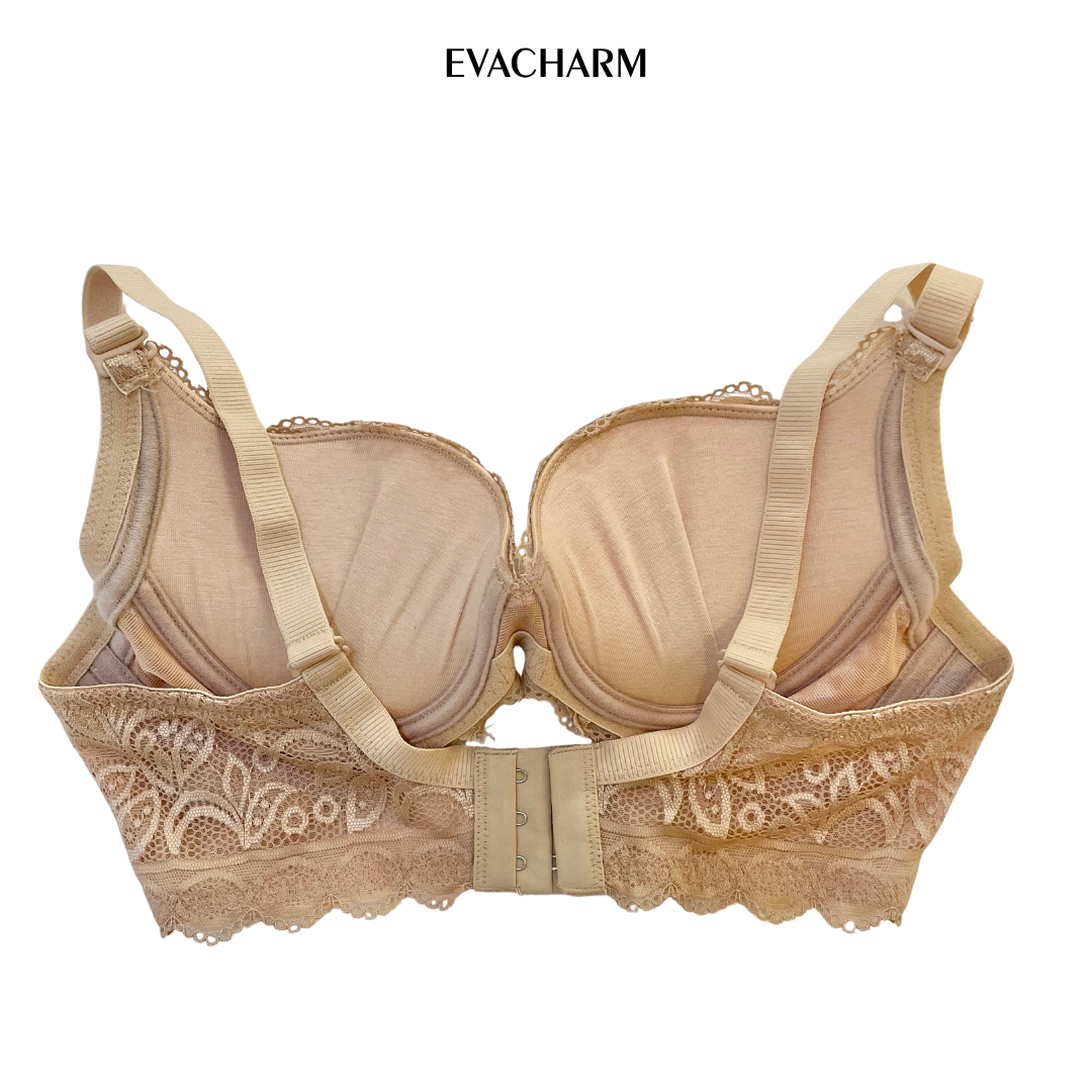  Áo ngực ren 3 móc Zagu đệm 3 phân 