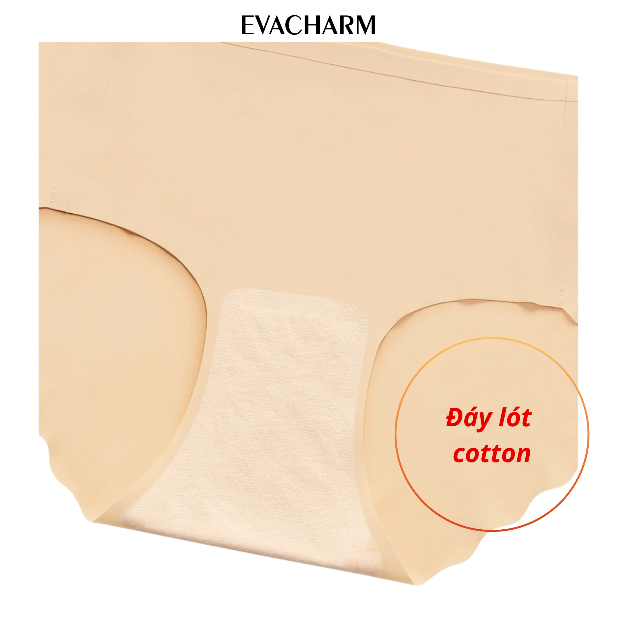  Quần lót không đường may lưng vừa (giá ưu đãi chỉ áp dụng trên web)site) 