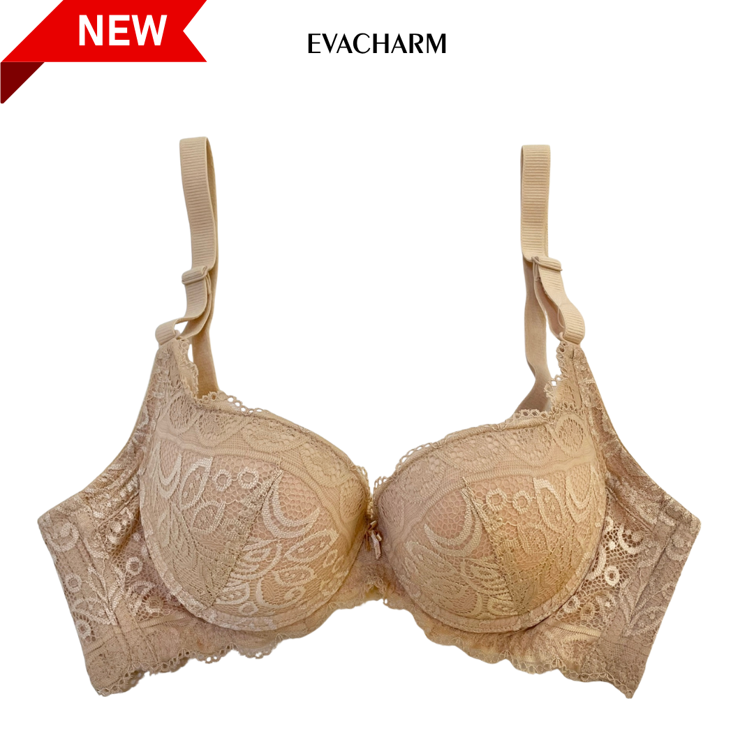  Áo ngực ren 3 móc Zagu đệm 3 phân 