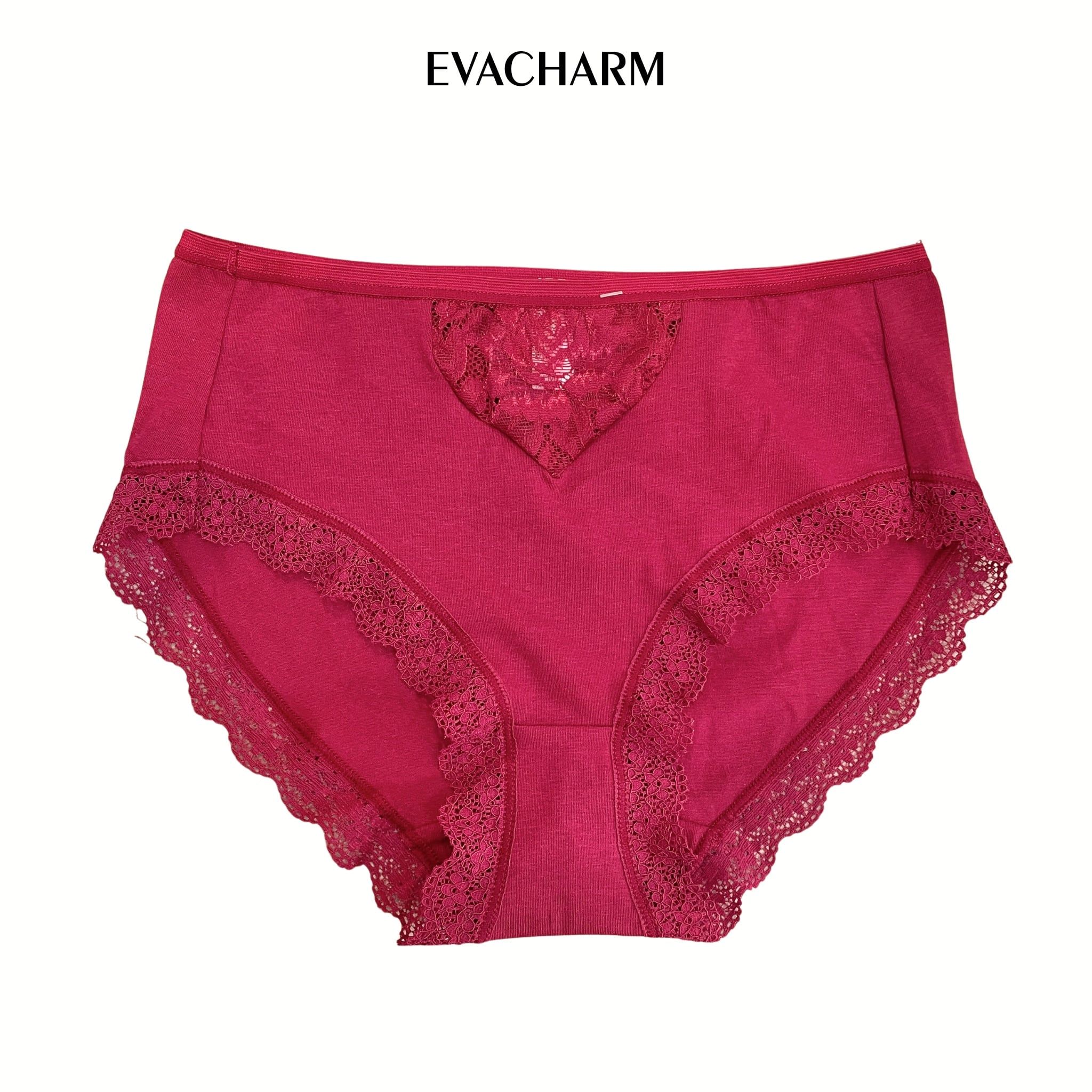  Quần lót lưng cao Cotton 