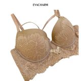  Áo ngực ren mút đệm nâng vừa, bảng lưng to ôm 