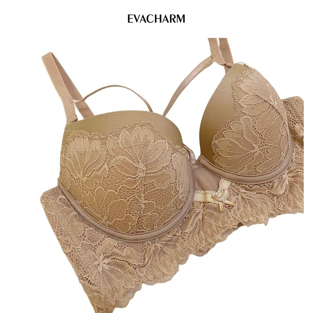  Áo ngực ren mút đệm nâng vừa, bảng lưng to ôm 