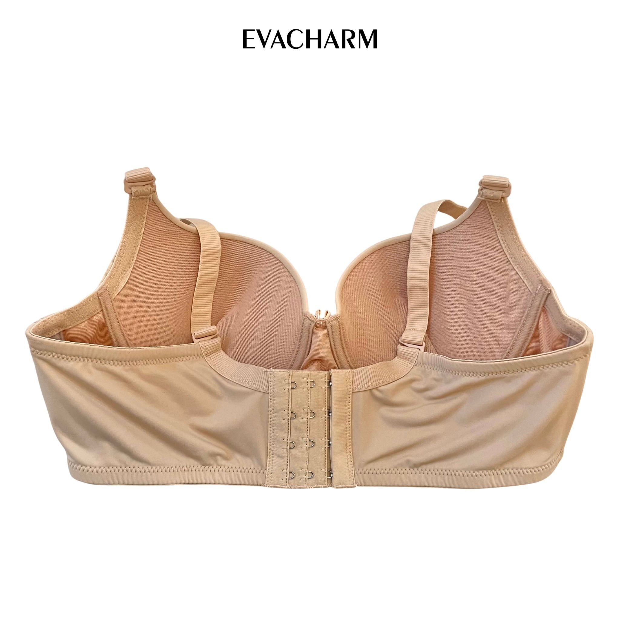  Áo ngực trơn 4 móc Zagu đệm mỏng 