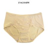  Quần lót thun Cotton 