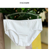  Quần lót cotton lưng cao vừa 