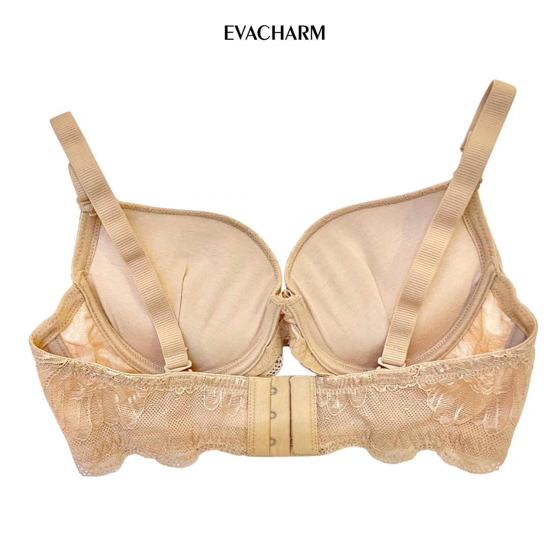  Áo ngực ren 3 móc Zagu đệm dày nâng ngực 