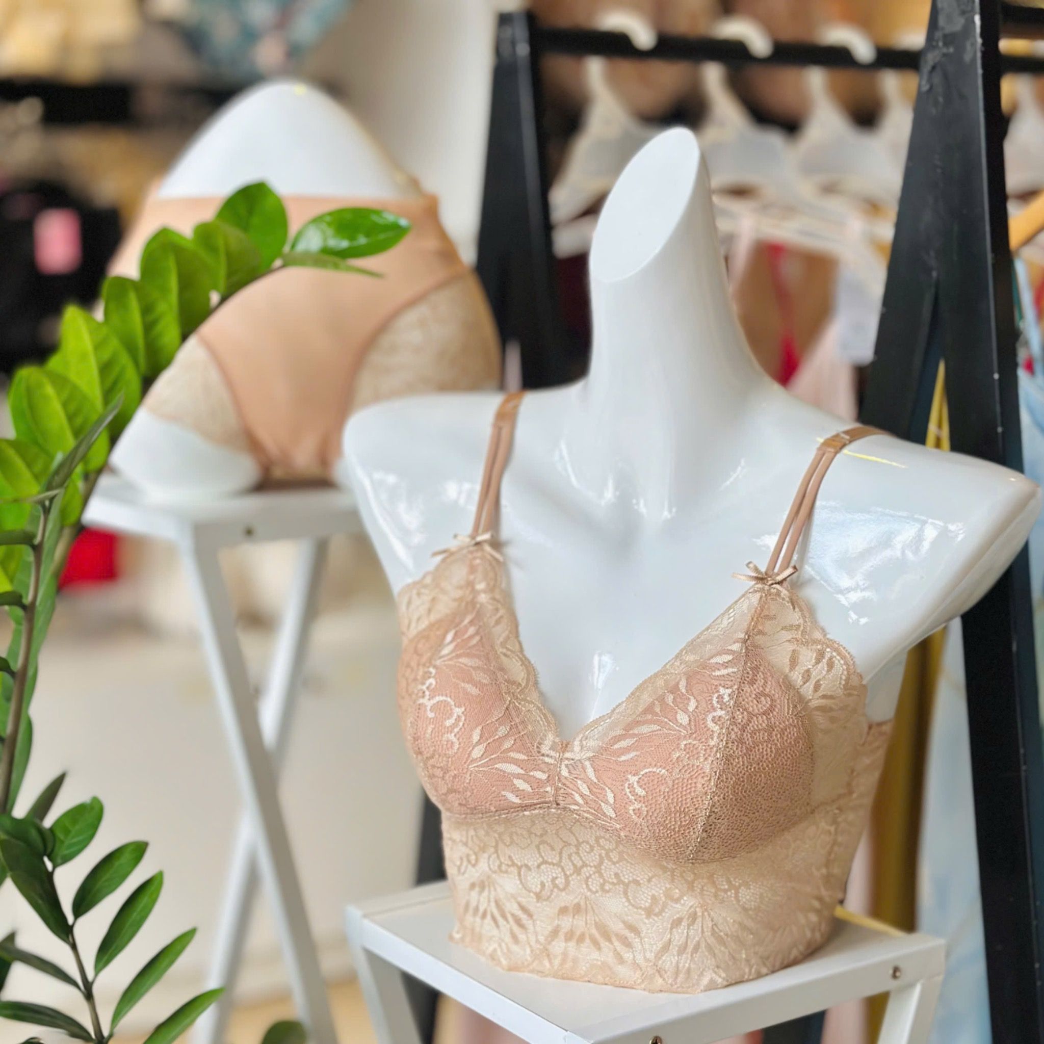  Áo bra/ áo lá ren mỏng không gọng 