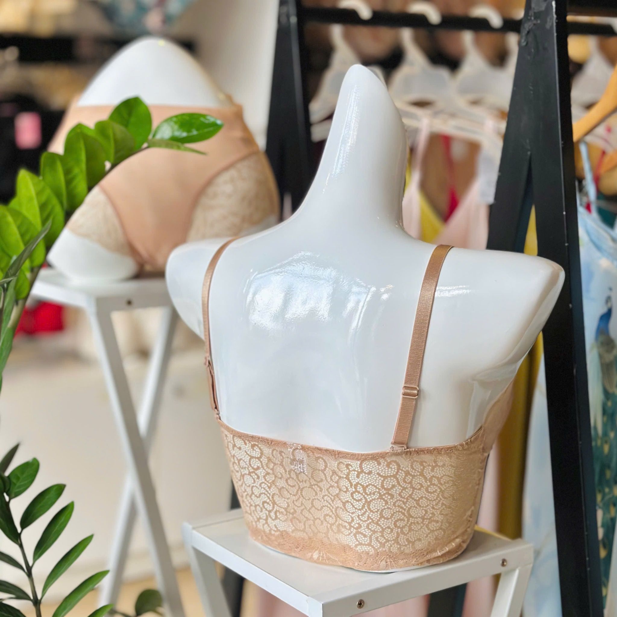  Áo bra/ áo lá ren mỏng không gọng 