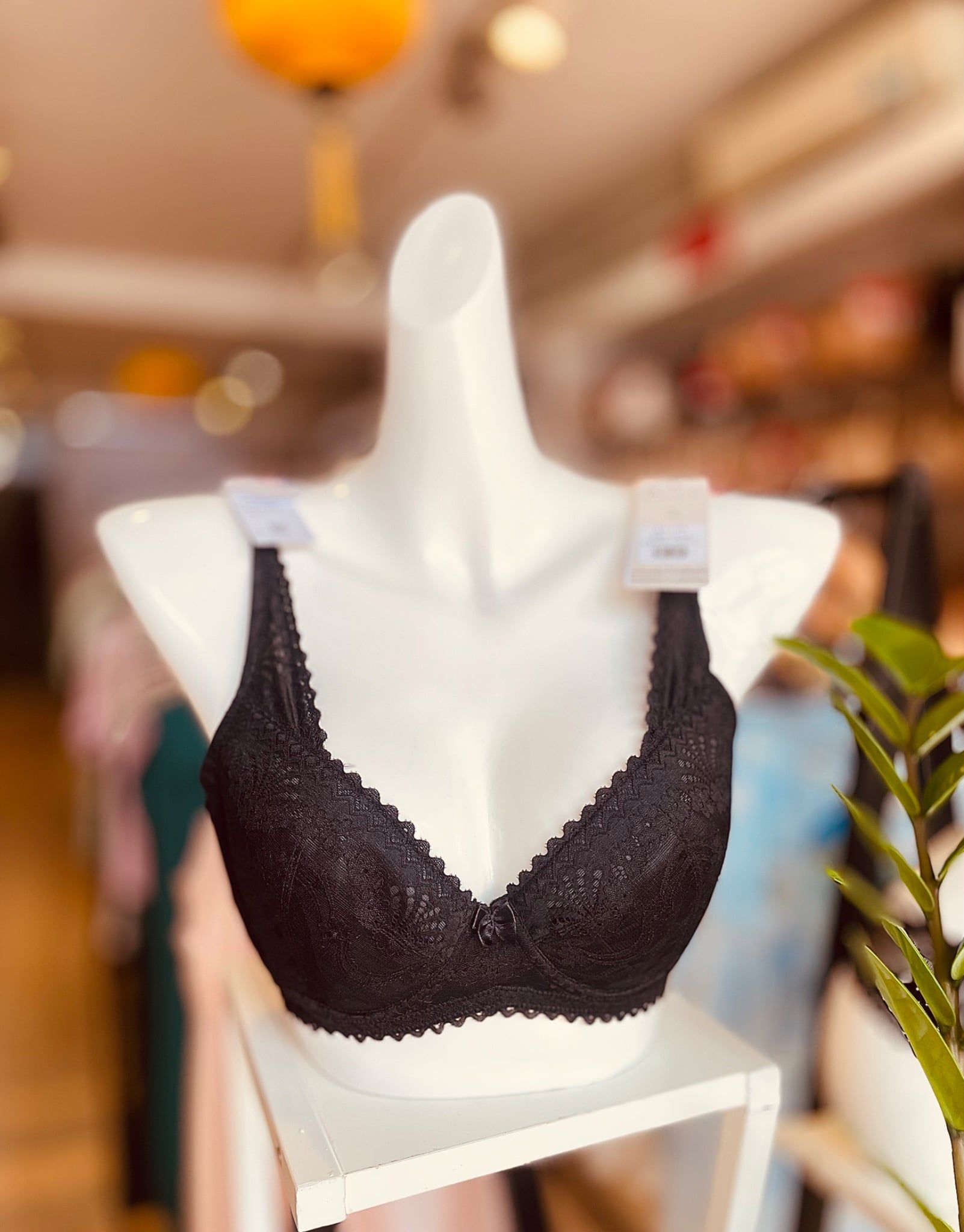  Áo ngực ren mỏng có gọng 